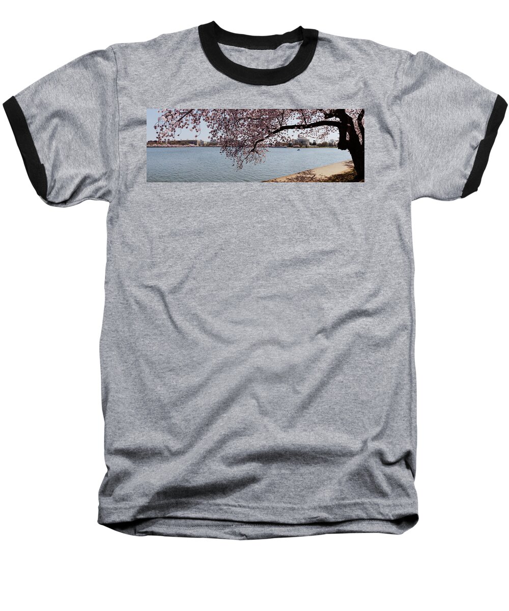 Photography Baseball T-Shirt featuring the photograph Cherry Blossom Trees With The Jefferson by Panoramic Images