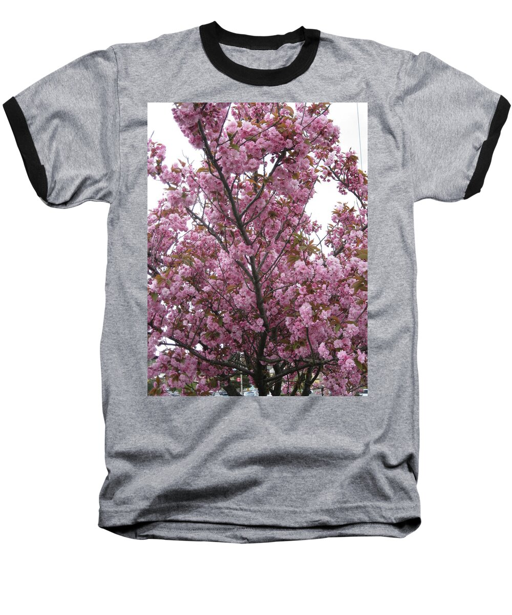 Cherry Blossoms Baseball T-Shirt featuring the photograph Cherry Blossoms 2 by David Trotter