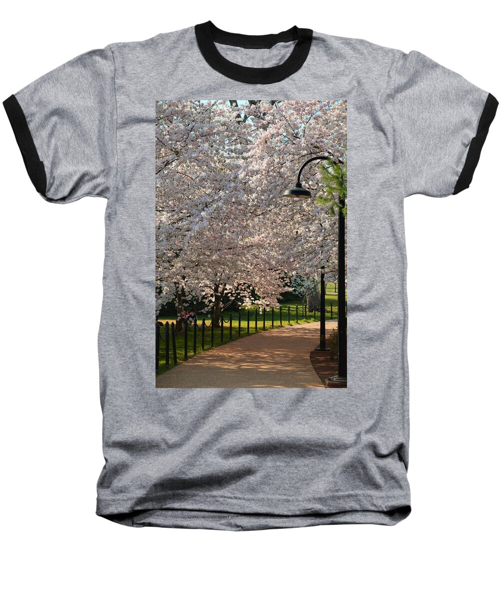 Architectural Baseball T-Shirt featuring the photograph Cherry Blossoms 2013 - 060 by Metro DC Photography