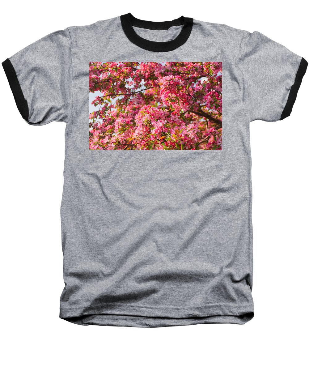 America Baseball T-Shirt featuring the photograph Cherry Blossoms in Washington D.C. by Mitchell R Grosky