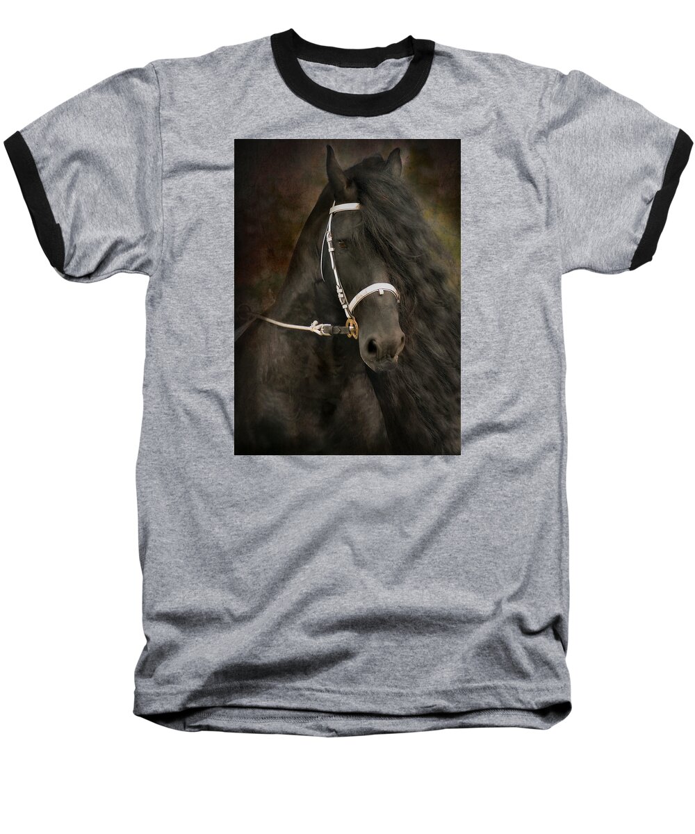 Friesian Baseball T-Shirt featuring the photograph Chiaroscuro by Fran J Scott