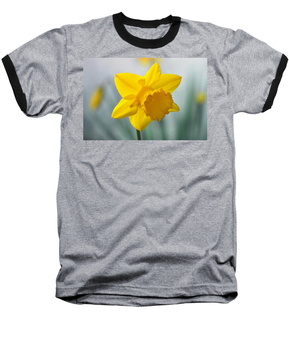 Daffodil Baseball T-Shirt featuring the photograph Classic Spring Daffodil by Terence Davis