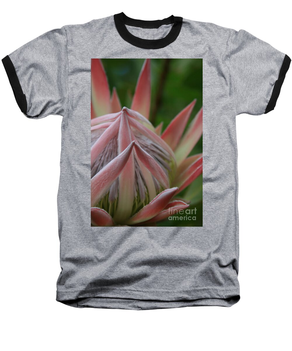 Aloha Baseball T-Shirt featuring the photograph Cloths of Heaven by Sharon Mau