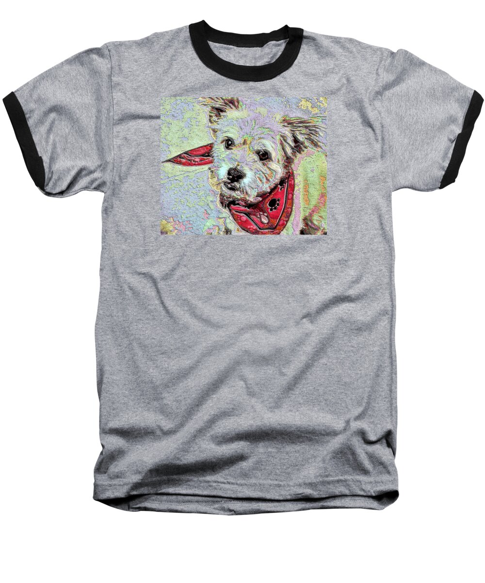 Pom Coton. Mutt. Dog Baseball T-Shirt featuring the painting Cocoa on the Poster by Vickie G Buccini