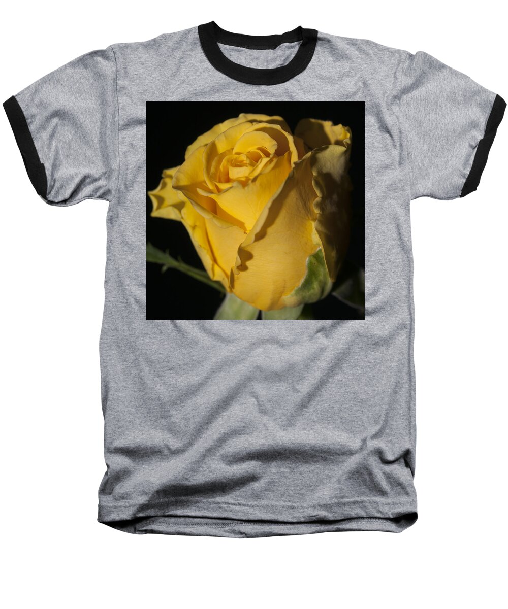 Rose Baseball T-Shirt featuring the photograph Color of Love by Miguel Winterpacht