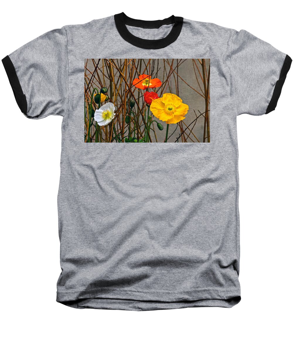 Red Yellow Orange White Poppies Baseball T-Shirt featuring the photograph Colorful Poppies And White Willow Stems by Byron Varvarigos
