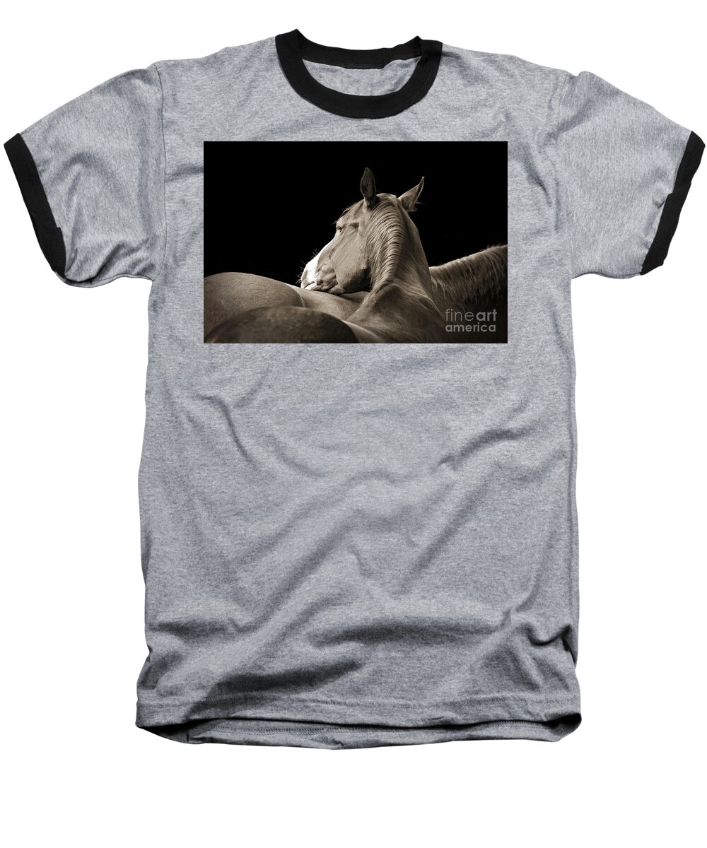 Nature Baseball T-Shirt featuring the photograph Comfort by Michelle Twohig