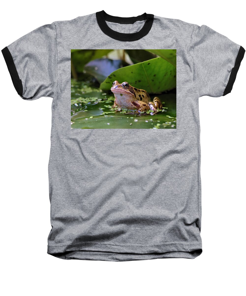 Frog Baseball T-Shirt featuring the digital art Common frog by Ron Harpham