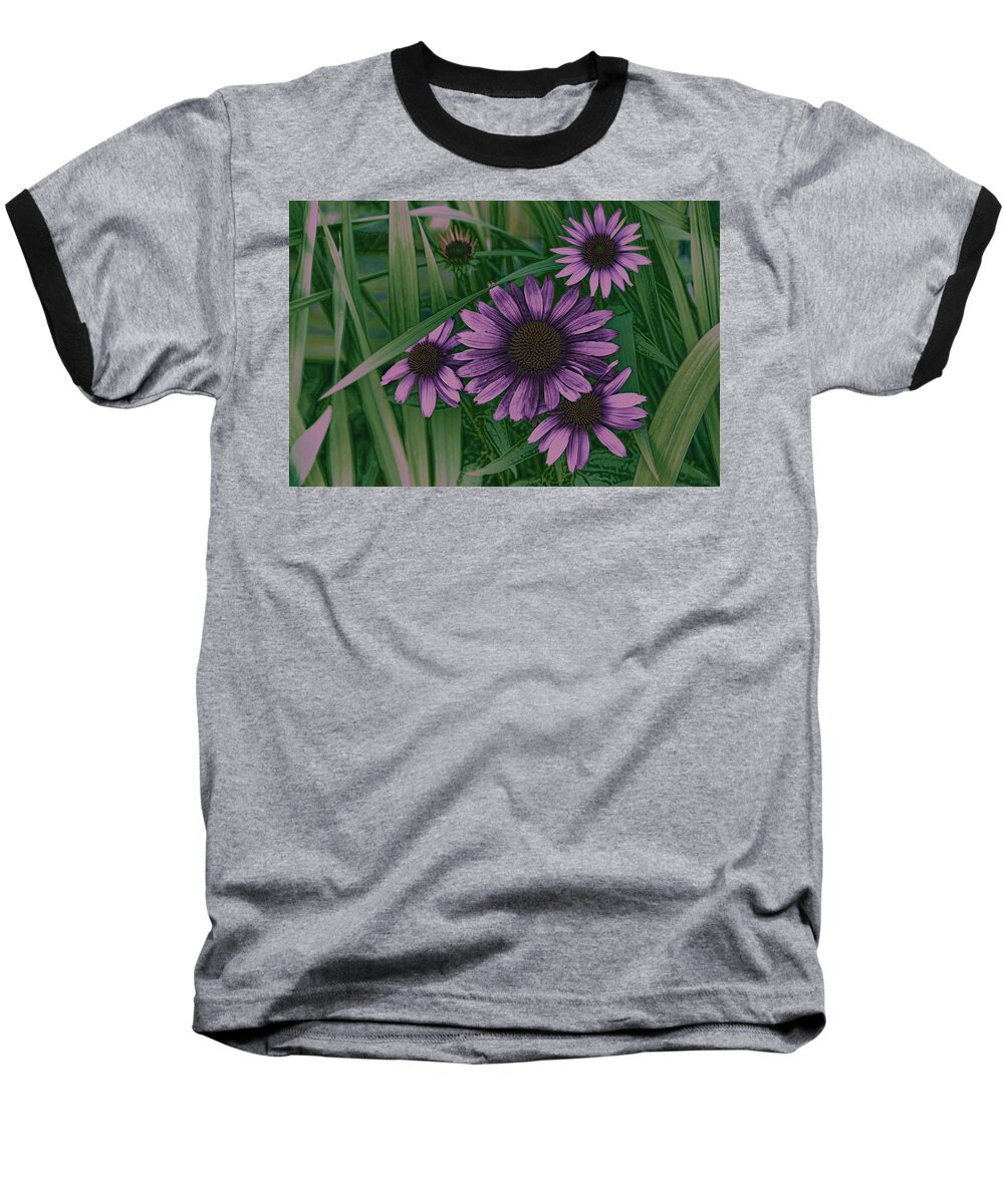 Echinacea Purpurea Baseball T-Shirt featuring the photograph Cone Flower Country Purple by Lesa Fine