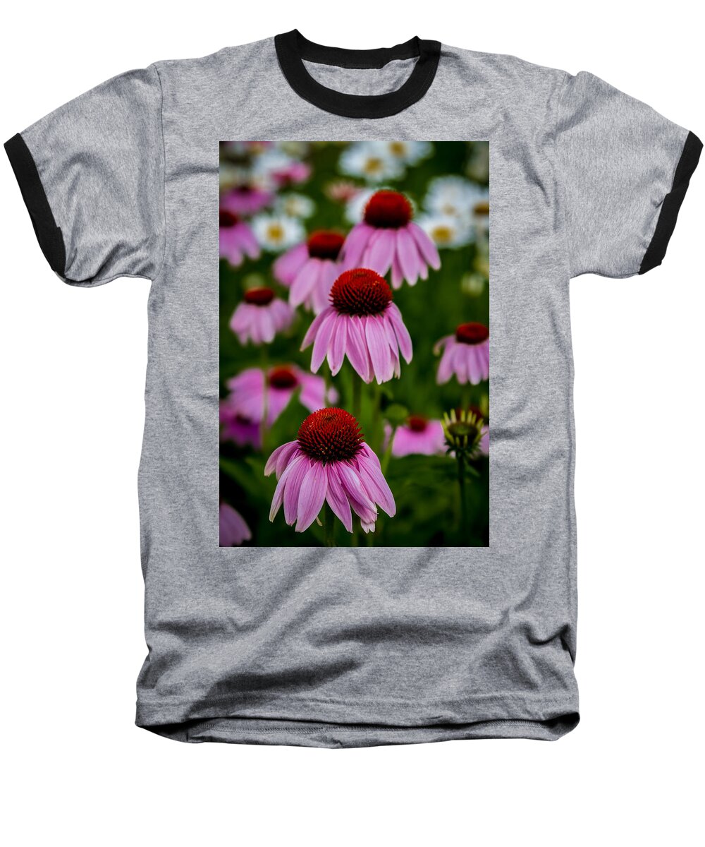 Art Baseball T-Shirt featuring the photograph Coneflowers in Front of Daisies by Ron Pate