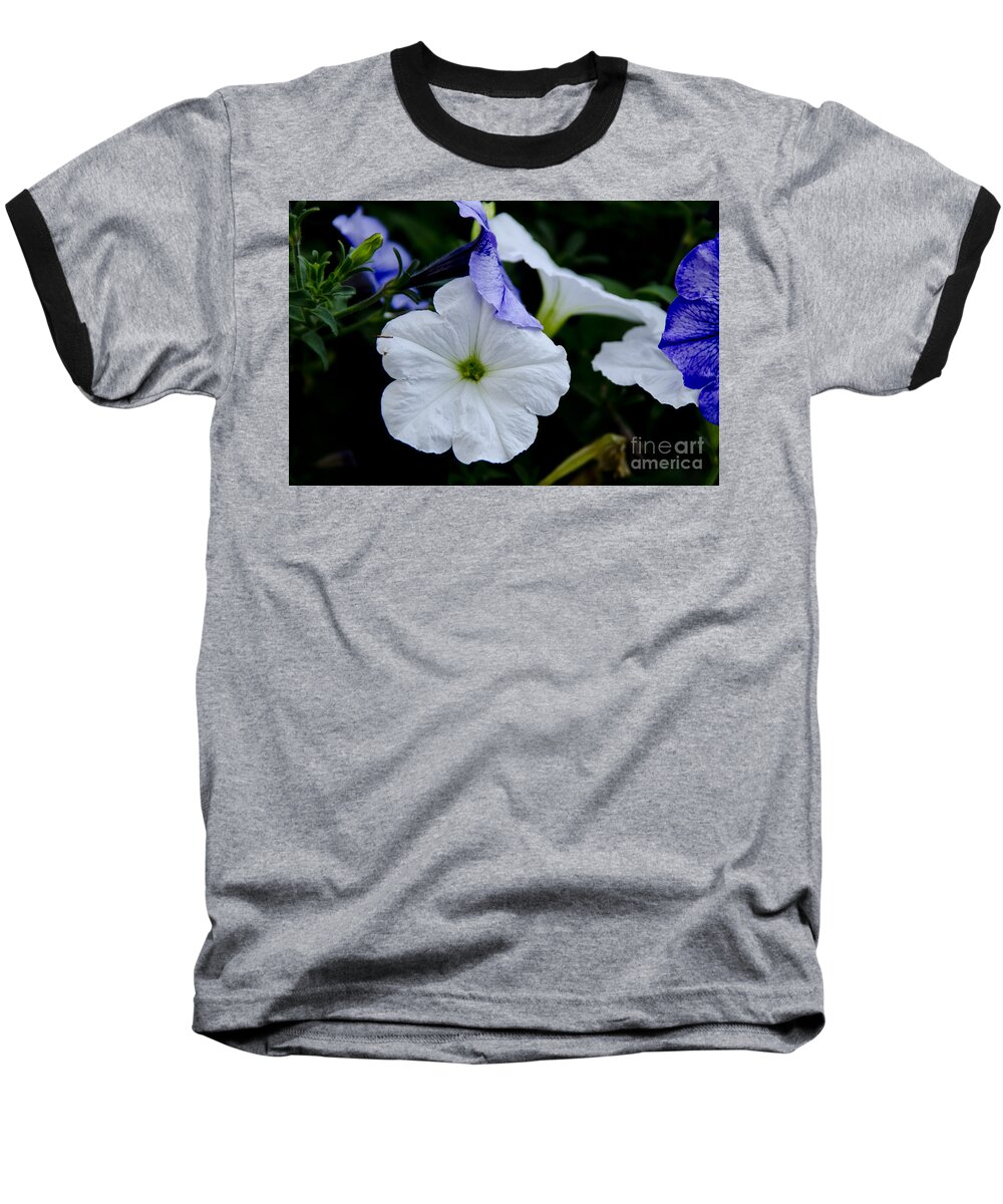 Petunias Baseball T-Shirt featuring the photograph Cool Summer Petunias by Wilma Birdwell