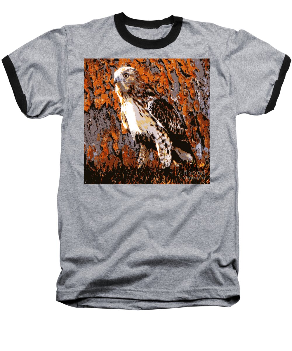 Hawk Baseball T-Shirt featuring the photograph Cooper's Hawk by Judy Palkimas
