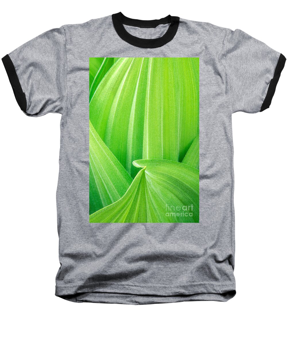 North America Baseball T-Shirt featuring the photograph Corn Lily Leaf Detail Yosemite NP California by Dave Welling