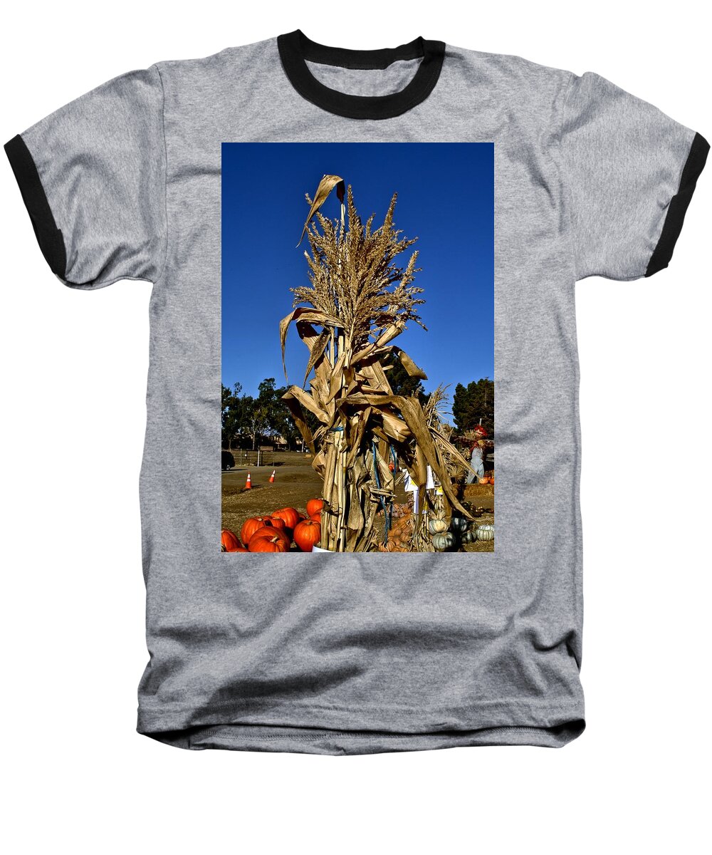 Fall Season Baseball T-Shirt featuring the photograph Corn Stalk by Michael Gordon