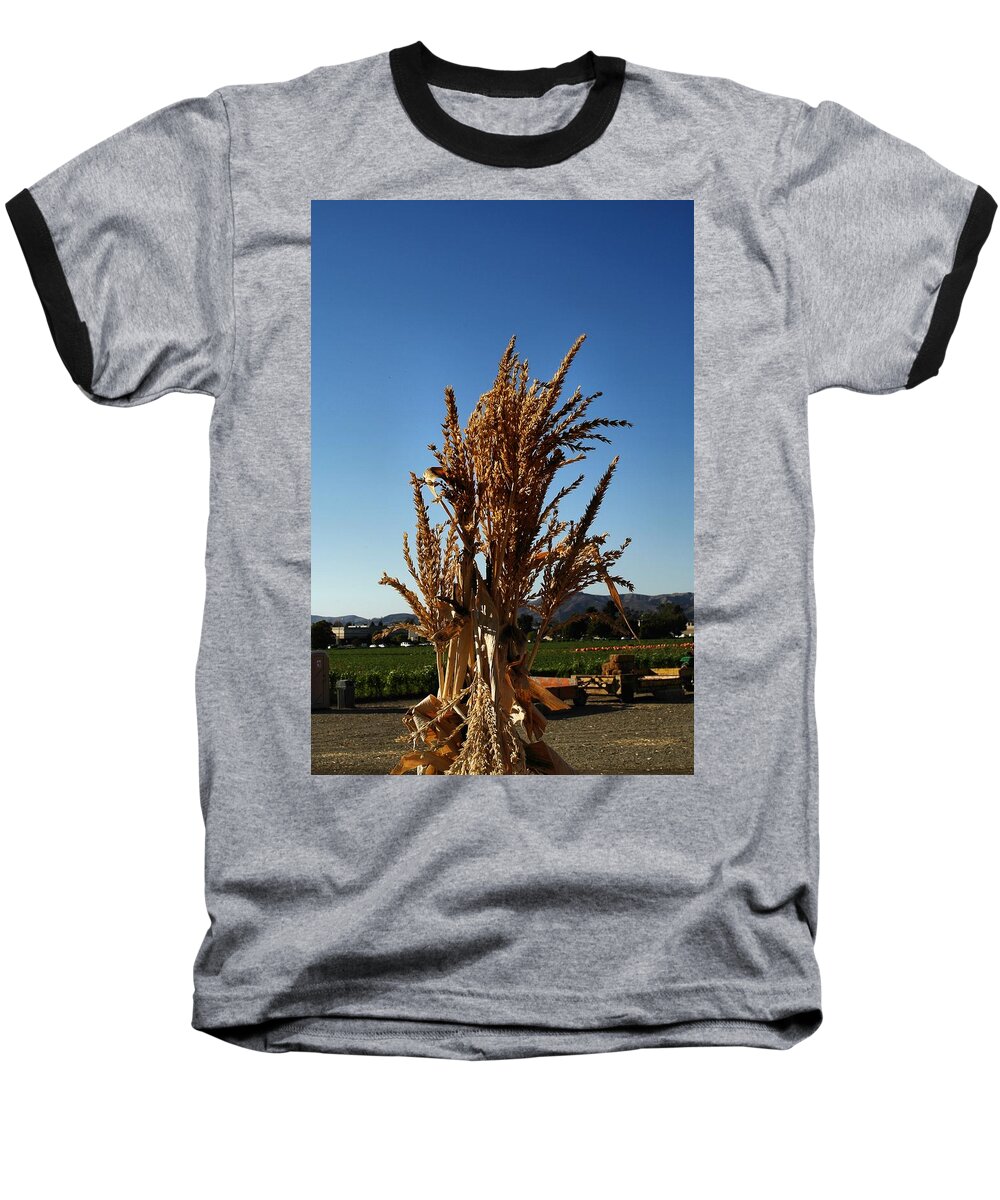 Fall Sdeason Baseball T-Shirt featuring the photograph Corn Top by Michael Gordon
