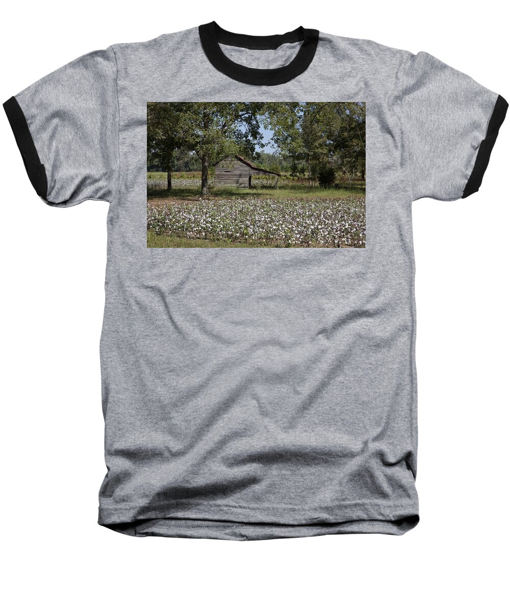 Alabama Baseball T-Shirt featuring the photograph Cotton in Rural Alabama by Mountain Dreams