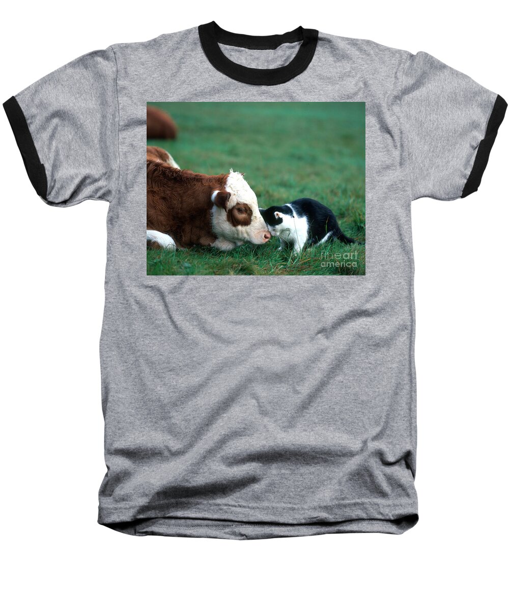 Animal Baseball T-Shirt featuring the photograph Cow And Cat by Hans Reinhard
