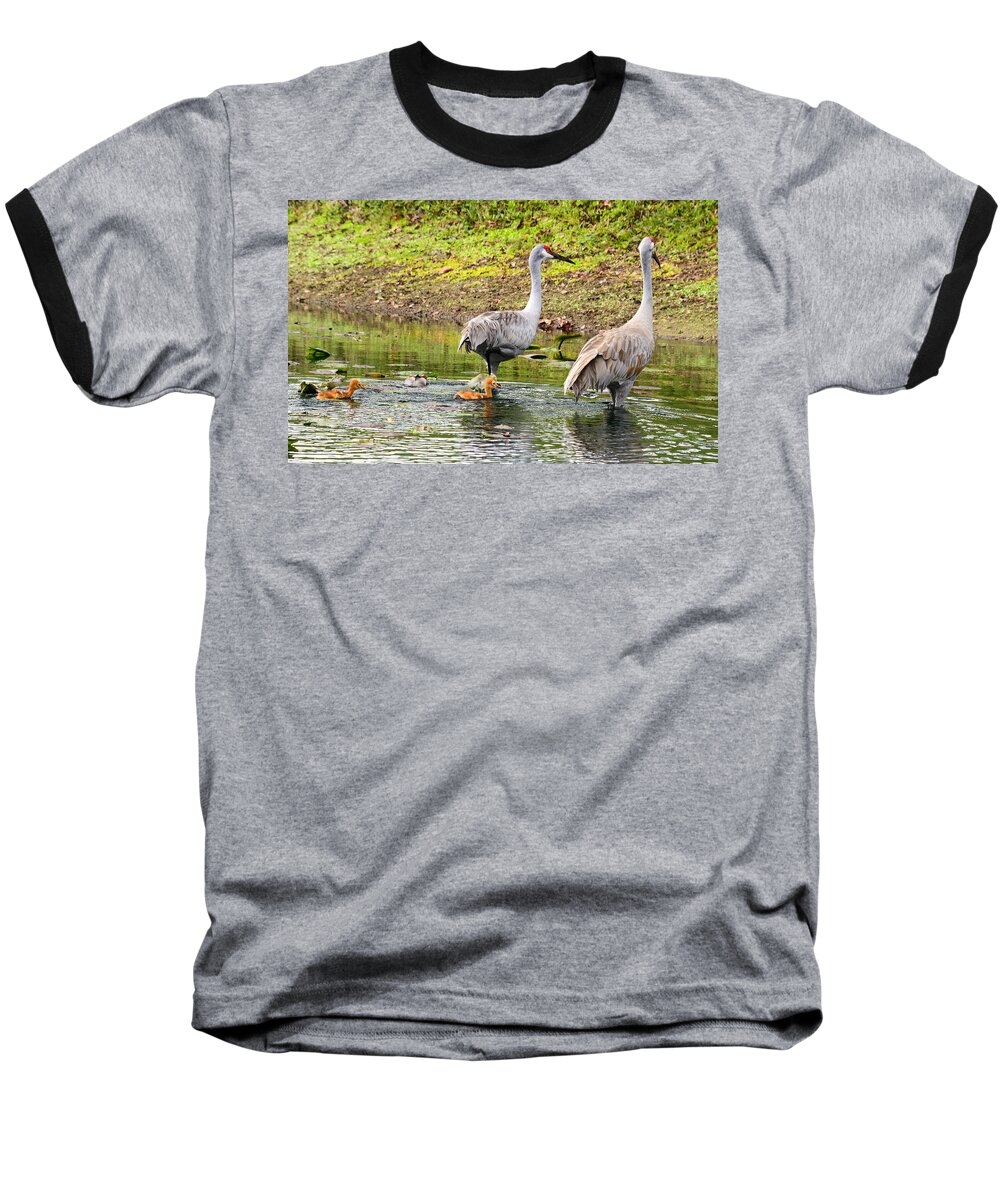 susan Molnar Baseball T-Shirt featuring the photograph Crane Family Swim II by Susan Molnar