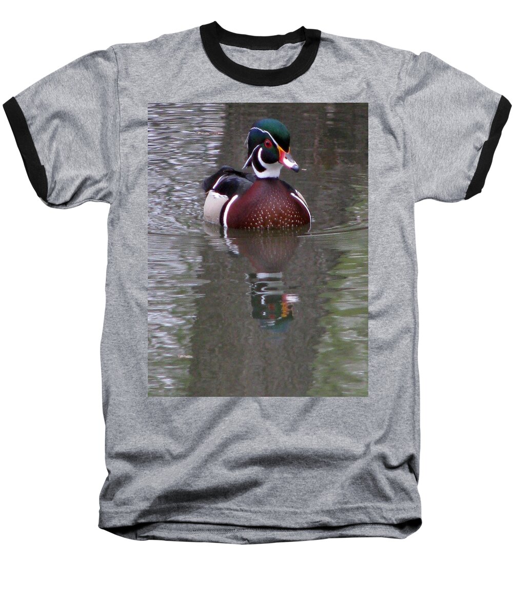 Duck Baseball T-Shirt featuring the photograph Cruisin' by Pamela Critchlow
