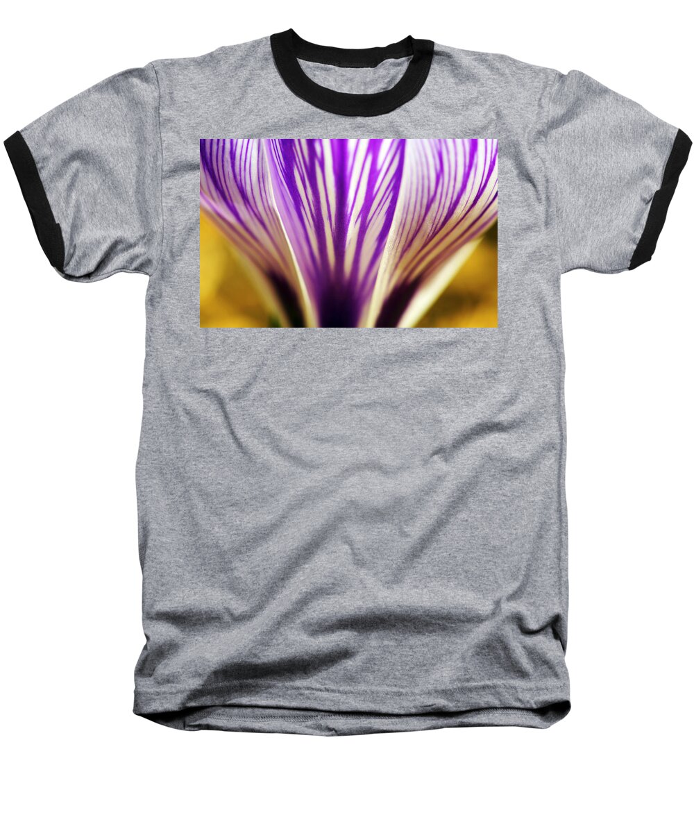 Cup Baseball T-Shirt featuring the photograph Cup of Stripes crocus by Marilyn Hunt
