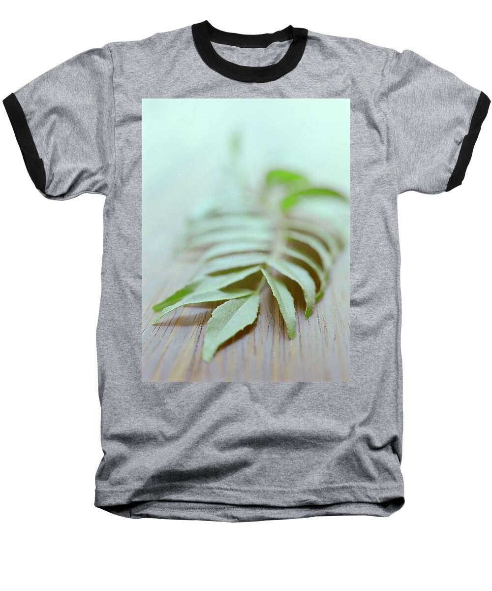 Cooking Baseball T-Shirt featuring the photograph Curry Leaves by Romulo Yanes