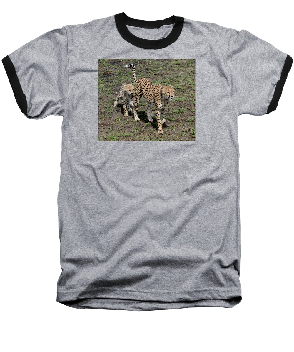 Nurturing Baseball T-Shirt featuring the photograph Cute Cheetah Wait for Me Mommy by Tom Wurl