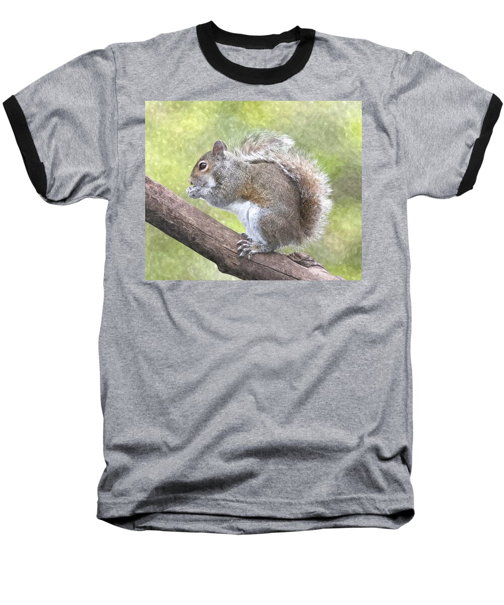 Squirrel Baseball T-Shirt featuring the painting Cute Squirrel by Gianfranco Weiss