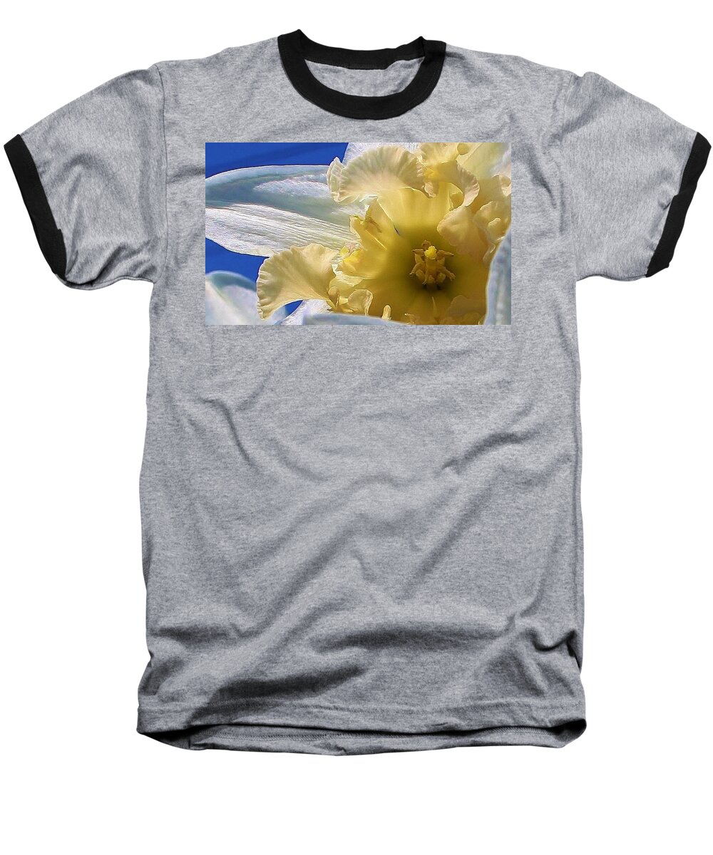 Flora Baseball T-Shirt featuring the photograph Daffodil in the Sun by Bruce Bley