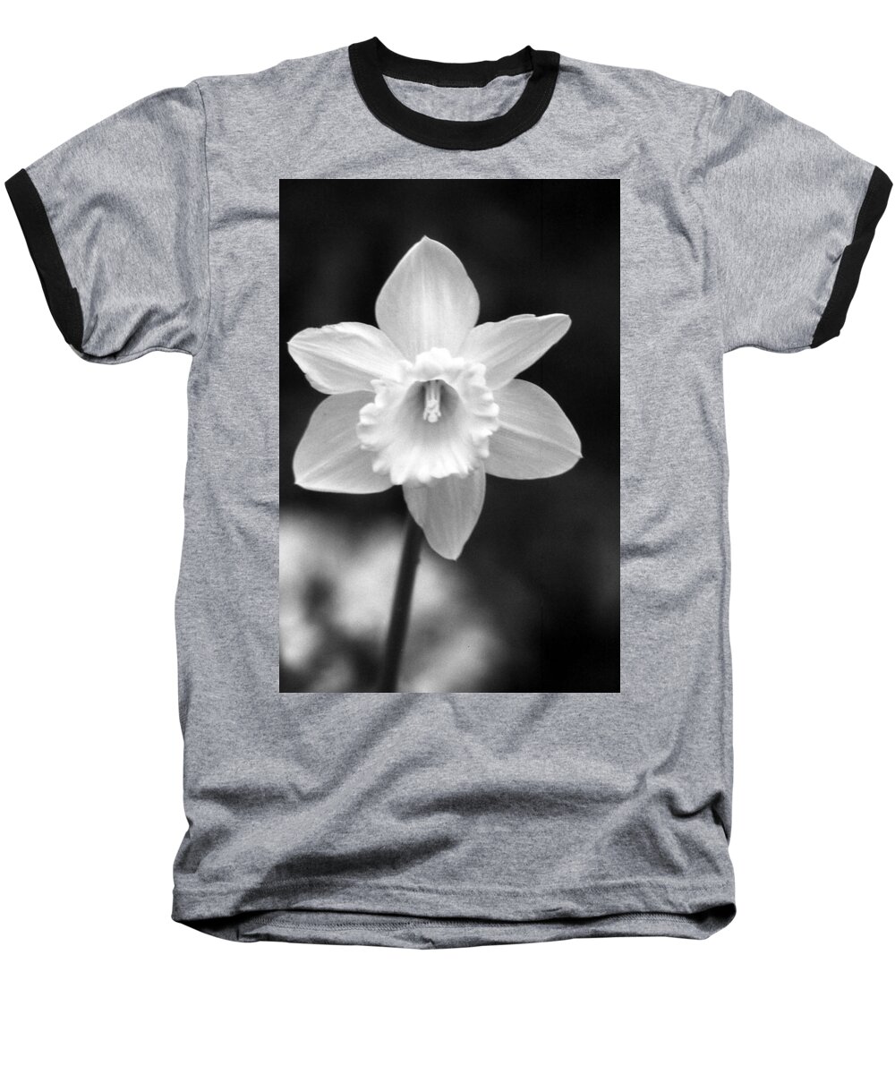 Daffodil Baseball T-Shirt featuring the photograph Daffodils - Infrared 10 by Pamela Critchlow