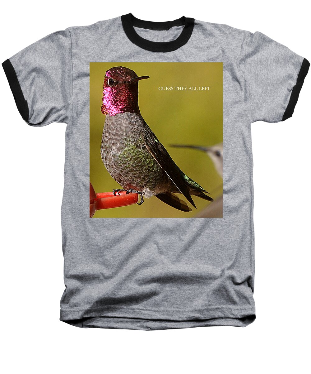 Hummingbird Baseball T-Shirt featuring the photograph Damn Where Did They All Go by Jay Milo