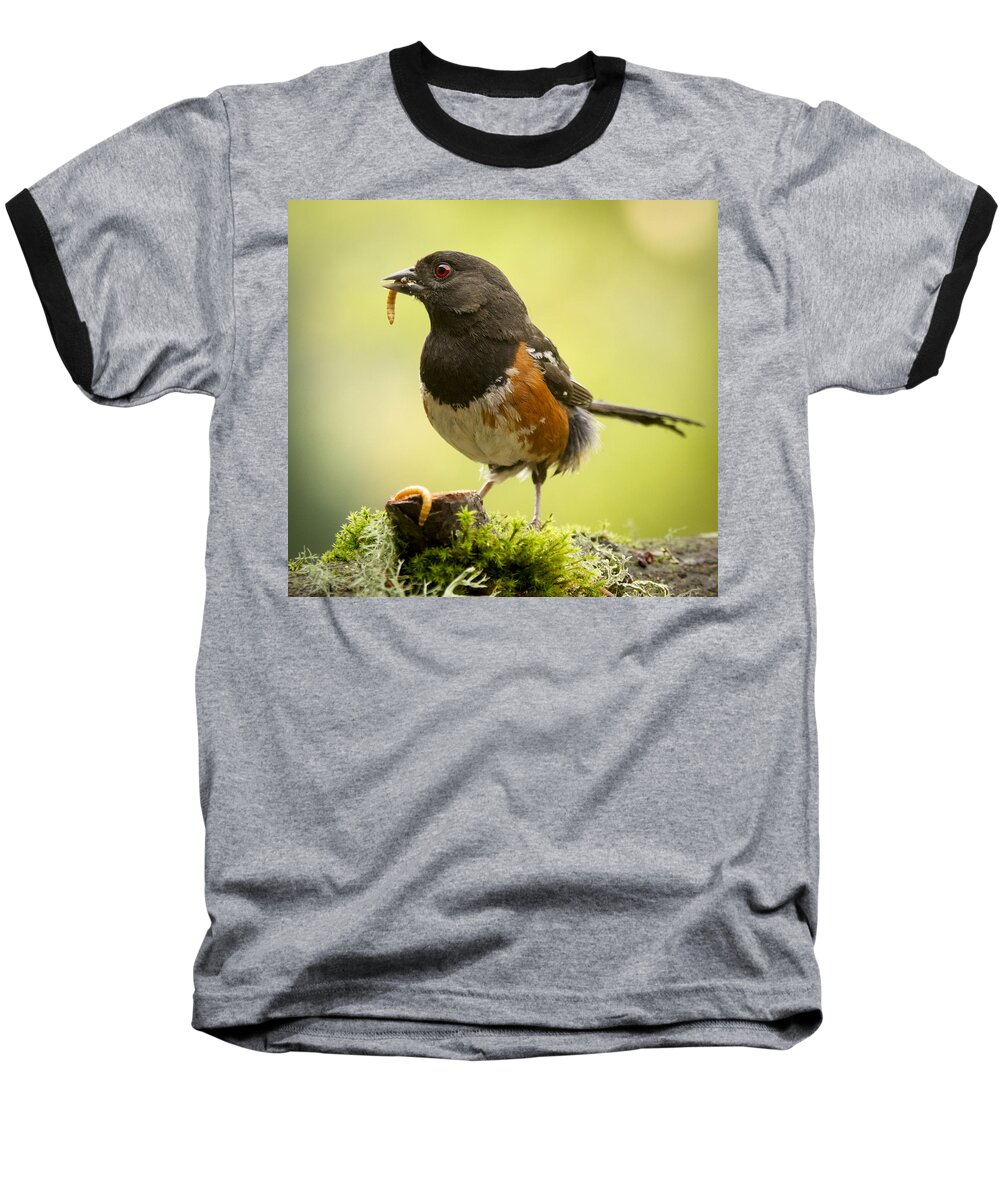 Bird Baseball T-Shirt featuring the photograph Dangling Worm. by Jean Noren