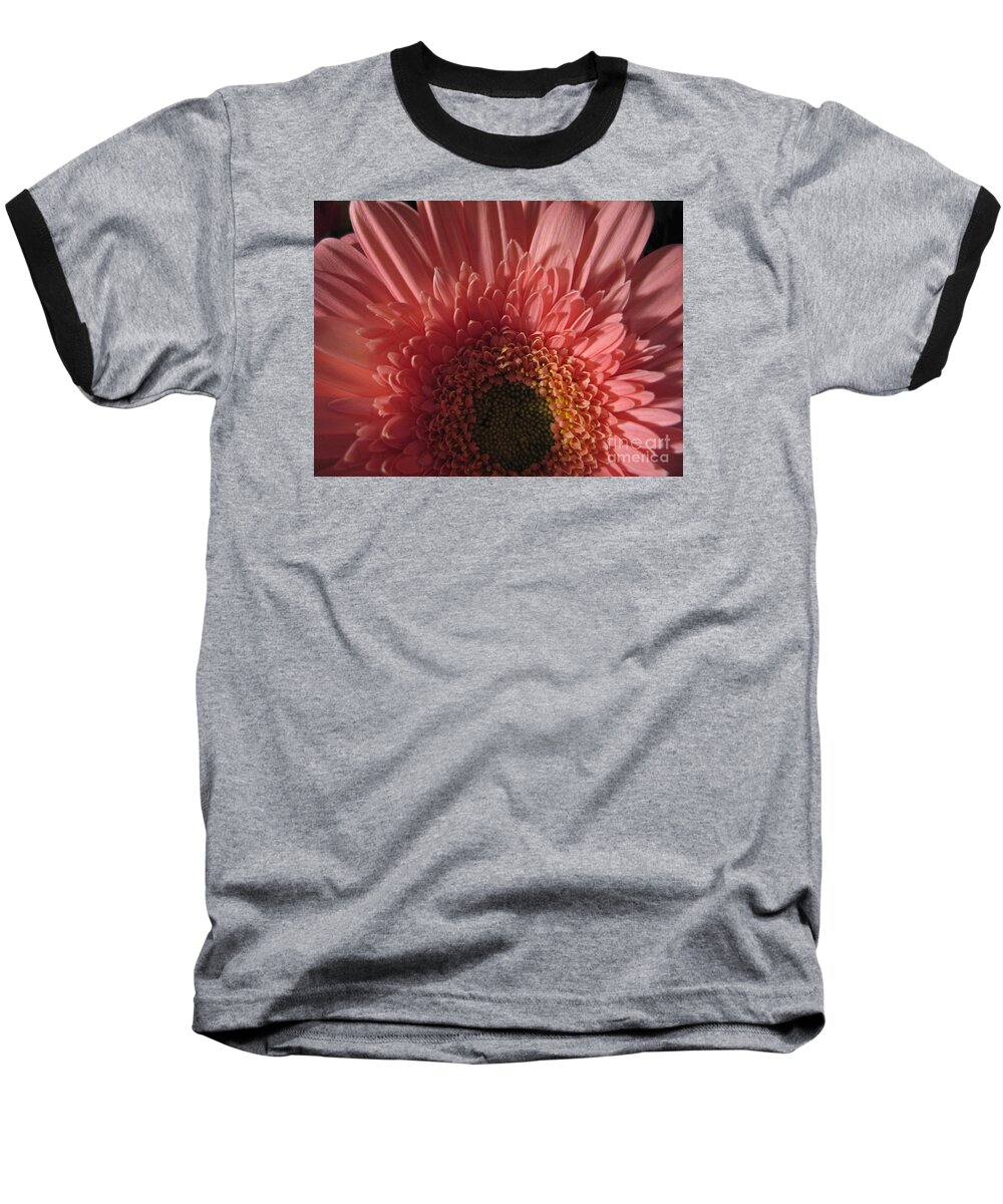 Flower Baseball T-Shirt featuring the photograph Dark Radiance by Ann Horn