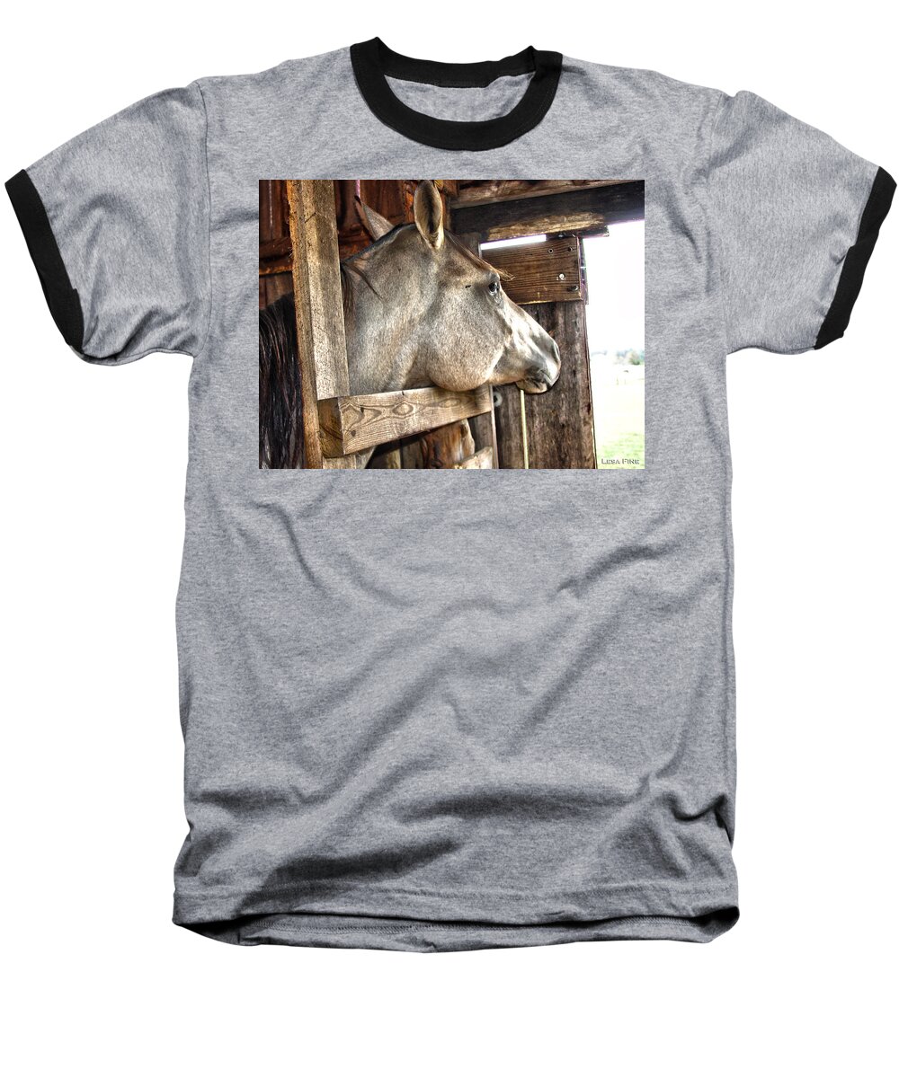 Spotted Horse Baseball T-Shirt featuring the digital art Daydreaming by Lesa Fine
