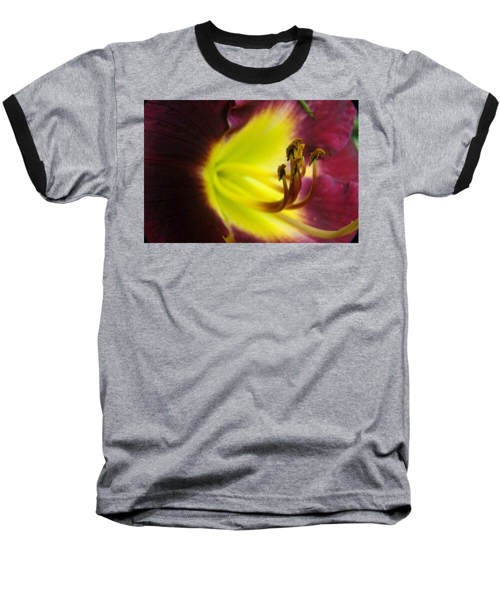 Daylily Baseball T-Shirt featuring the photograph Daylily Macro 3 by Rick Rosenshein