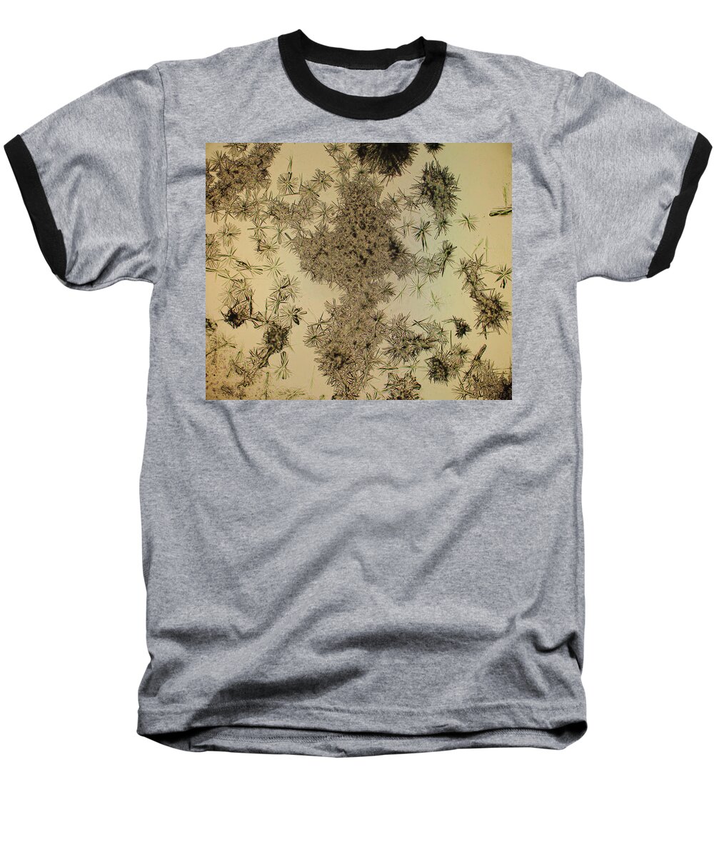 Crystals Baseball T-Shirt featuring the photograph Dead Flowers by Hodges Jeffery