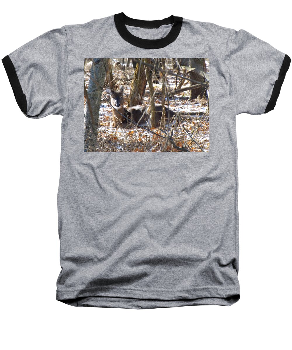Deer Baseball T-Shirt featuring the photograph Deer Impressions by Robyn King