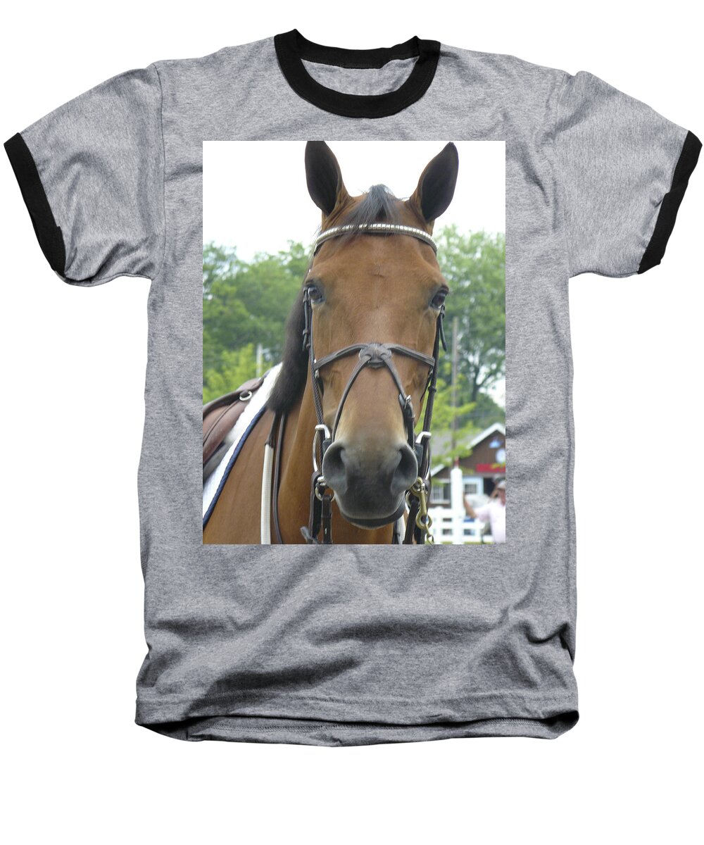 Horse Baseball T-Shirt featuring the photograph Devon f by Mary Ann Leitch