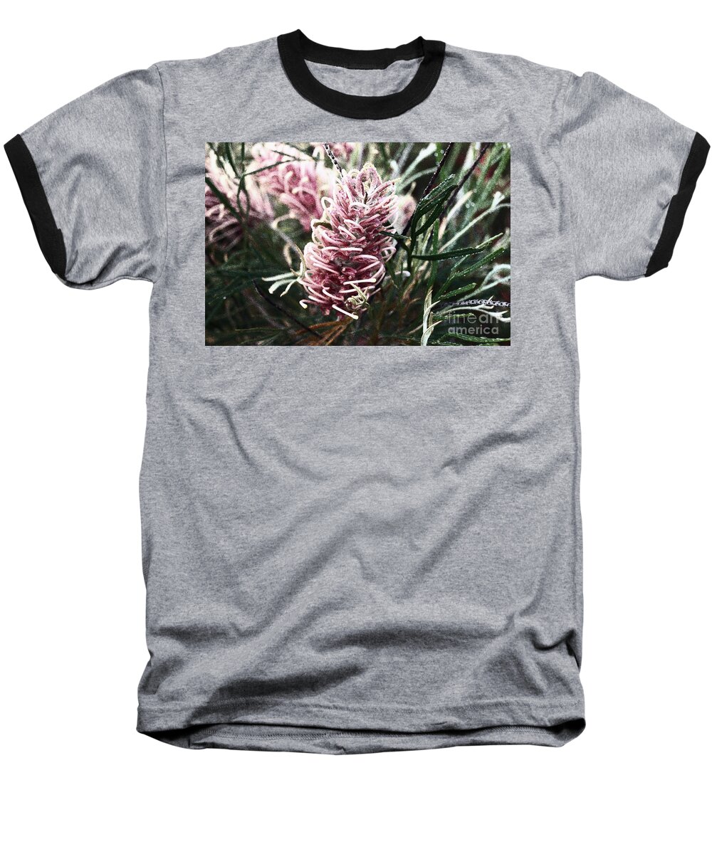 Grevillea Baseball T-Shirt featuring the photograph Dew Covered Grevillea by Cassandra Buckley