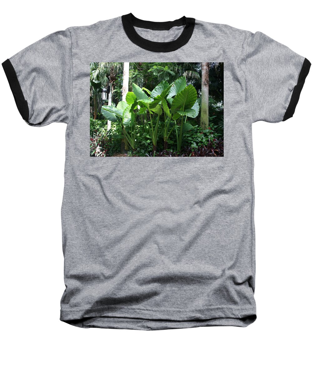 Discovery Cove Baseball T-Shirt featuring the photograph Discovery Fauna by David Nicholls