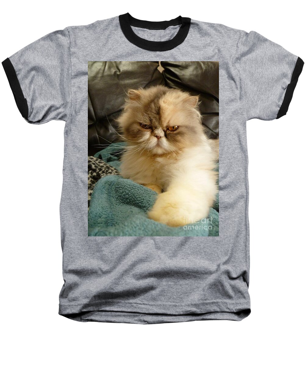 Cat Baseball T-Shirt featuring the photograph Do I Look Amused? by Vicki Spindler