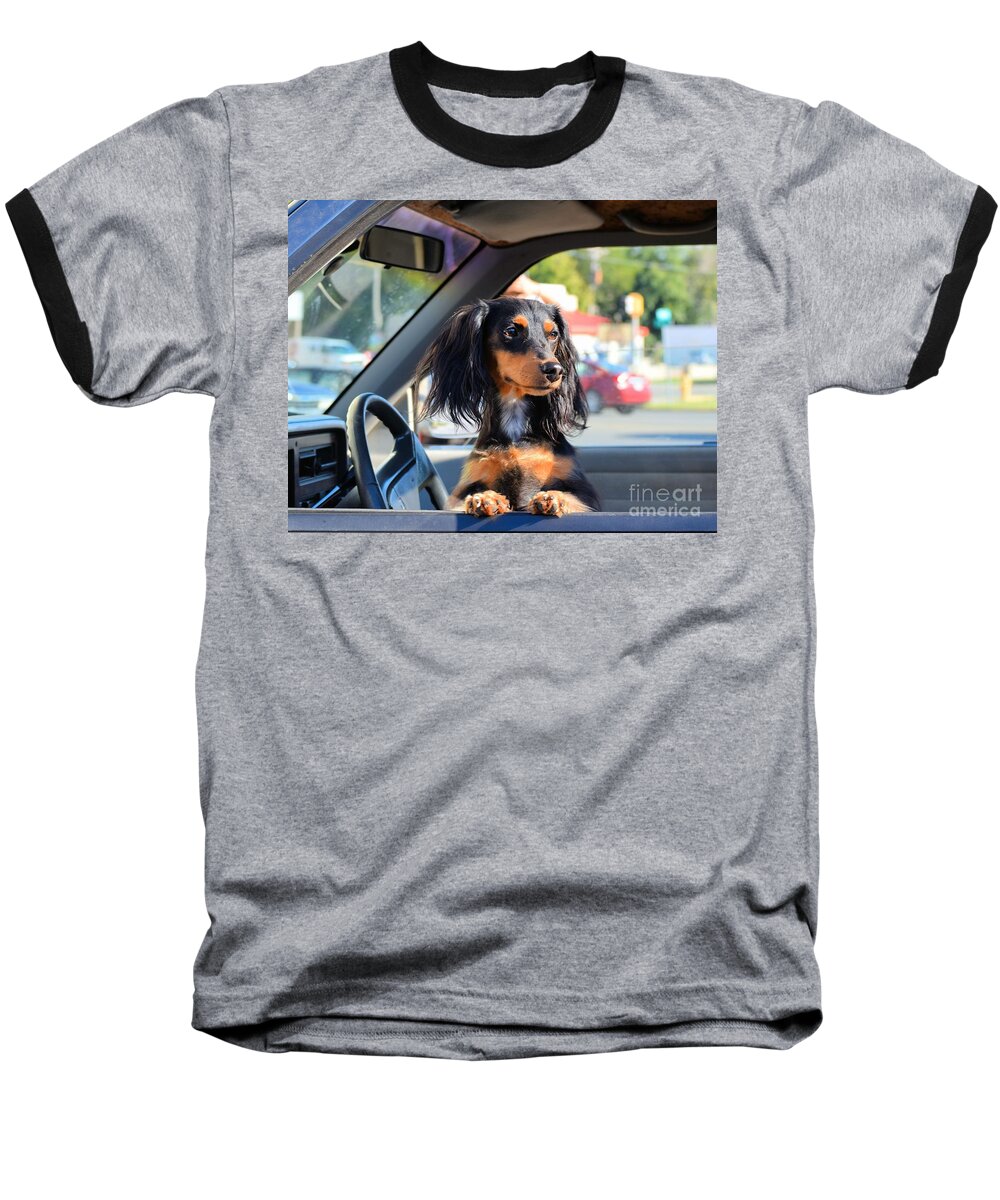 Dog Baseball T-Shirt featuring the photograph Doggie in the Window by Janette Boyd