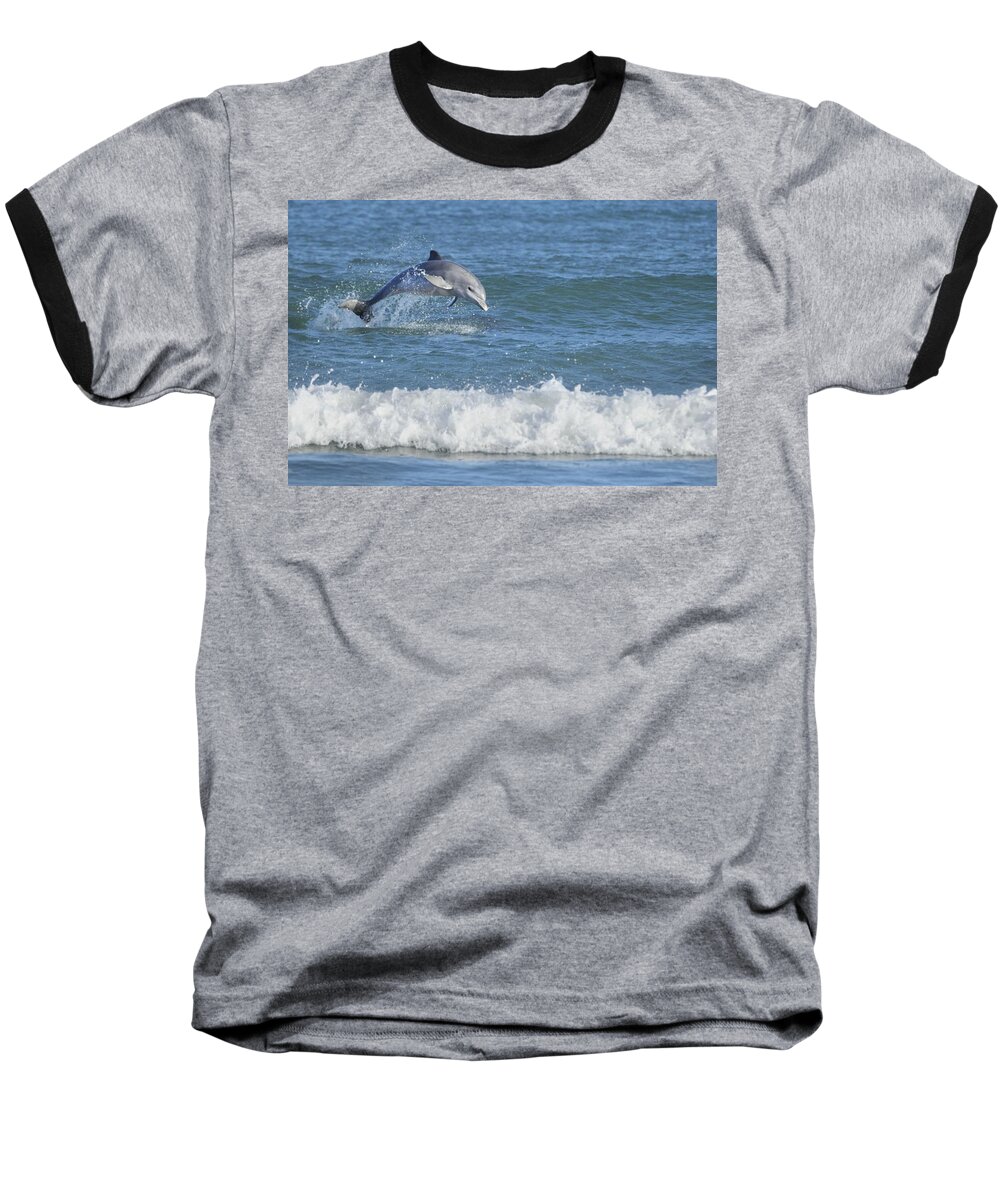 Dolphin Baseball T-Shirt featuring the photograph Dolphin in surf by Bradford Martin