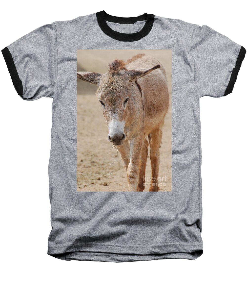 Donkey Baseball T-Shirt featuring the photograph Donkey by DejaVu Designs