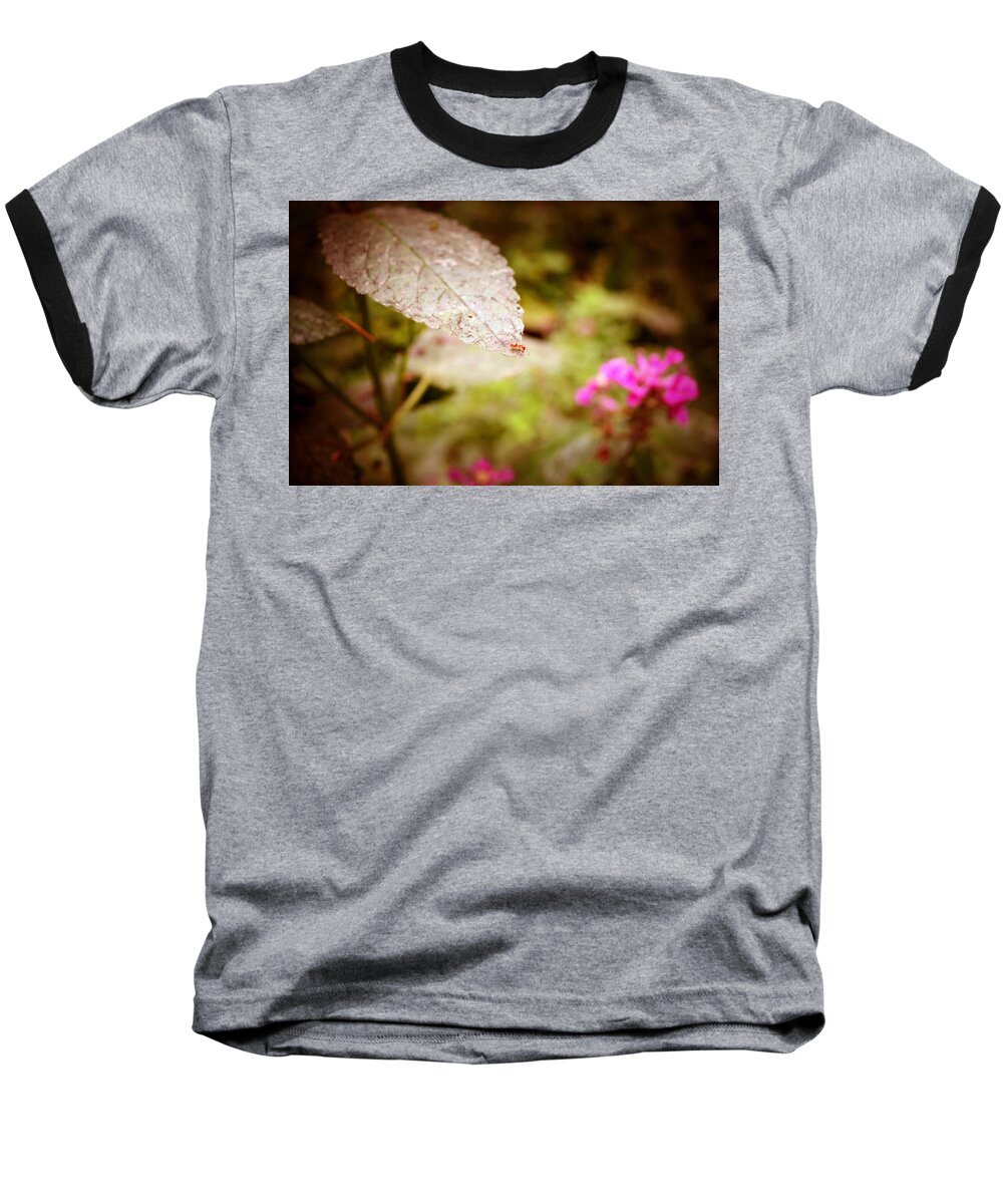 Red Ant Baseball T-Shirt featuring the photograph Don't Look Down by Laureen Murtha Menzl