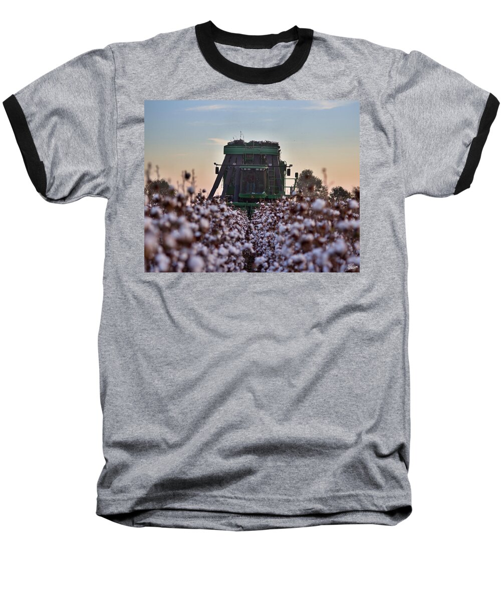 Ag Baseball T-Shirt featuring the photograph Down the Row by David Zarecor