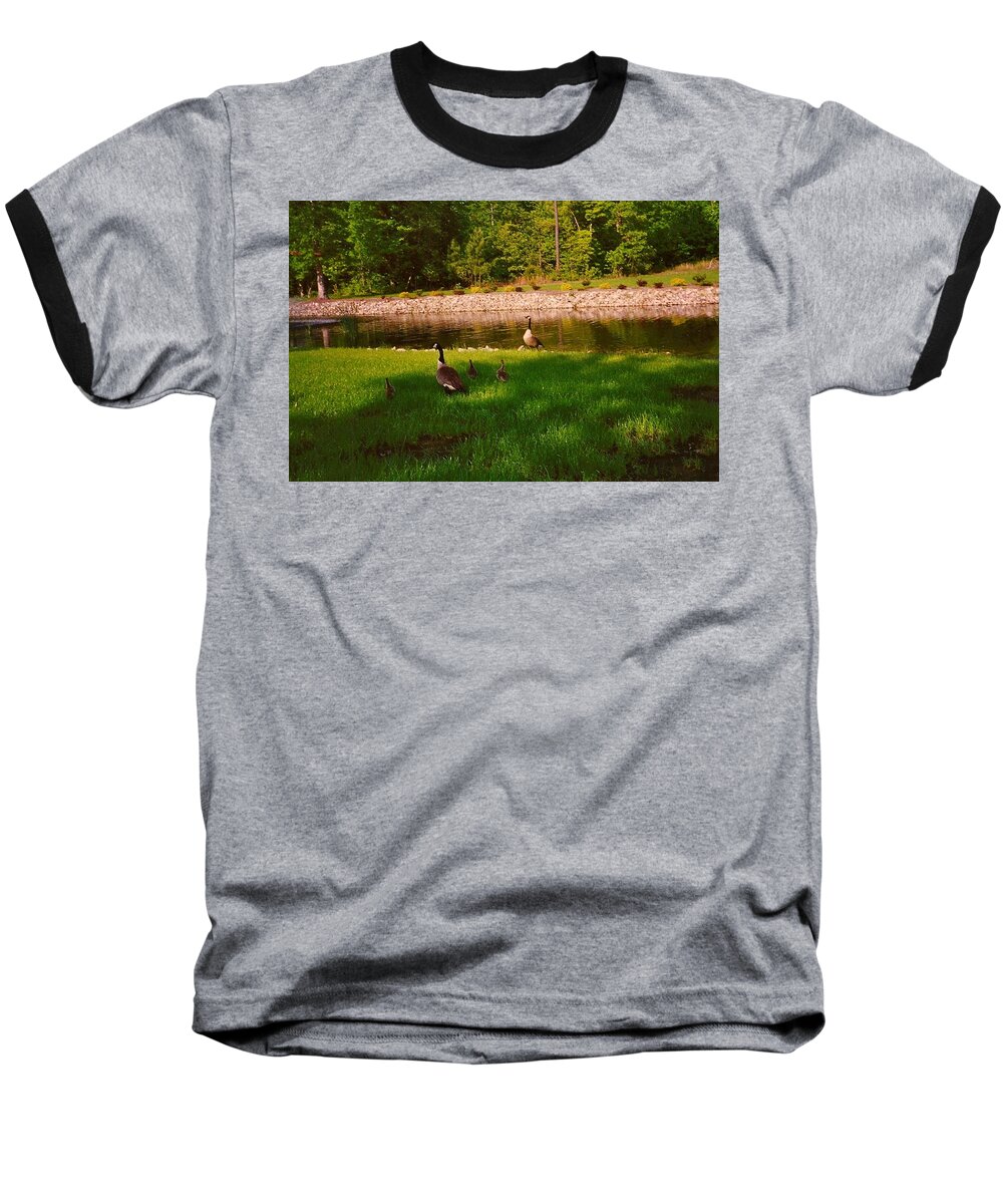 Duck Baseball T-Shirt featuring the photograph Duck Family Getting Back From Pond by Chris W Photography AKA Christian Wilson