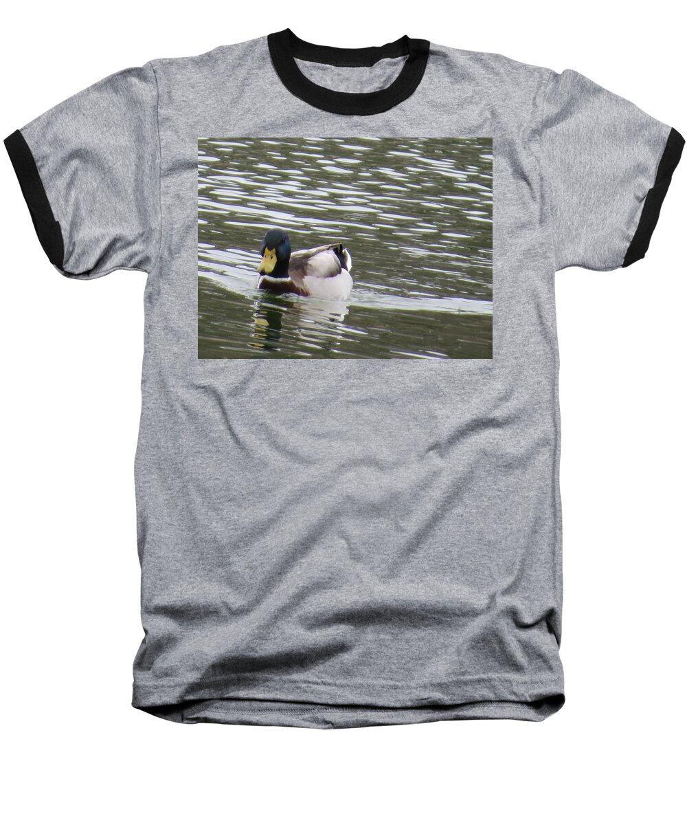 Wildlife. Duck Baseball T-Shirt featuring the photograph Duck out for a swim by Aaron Martens