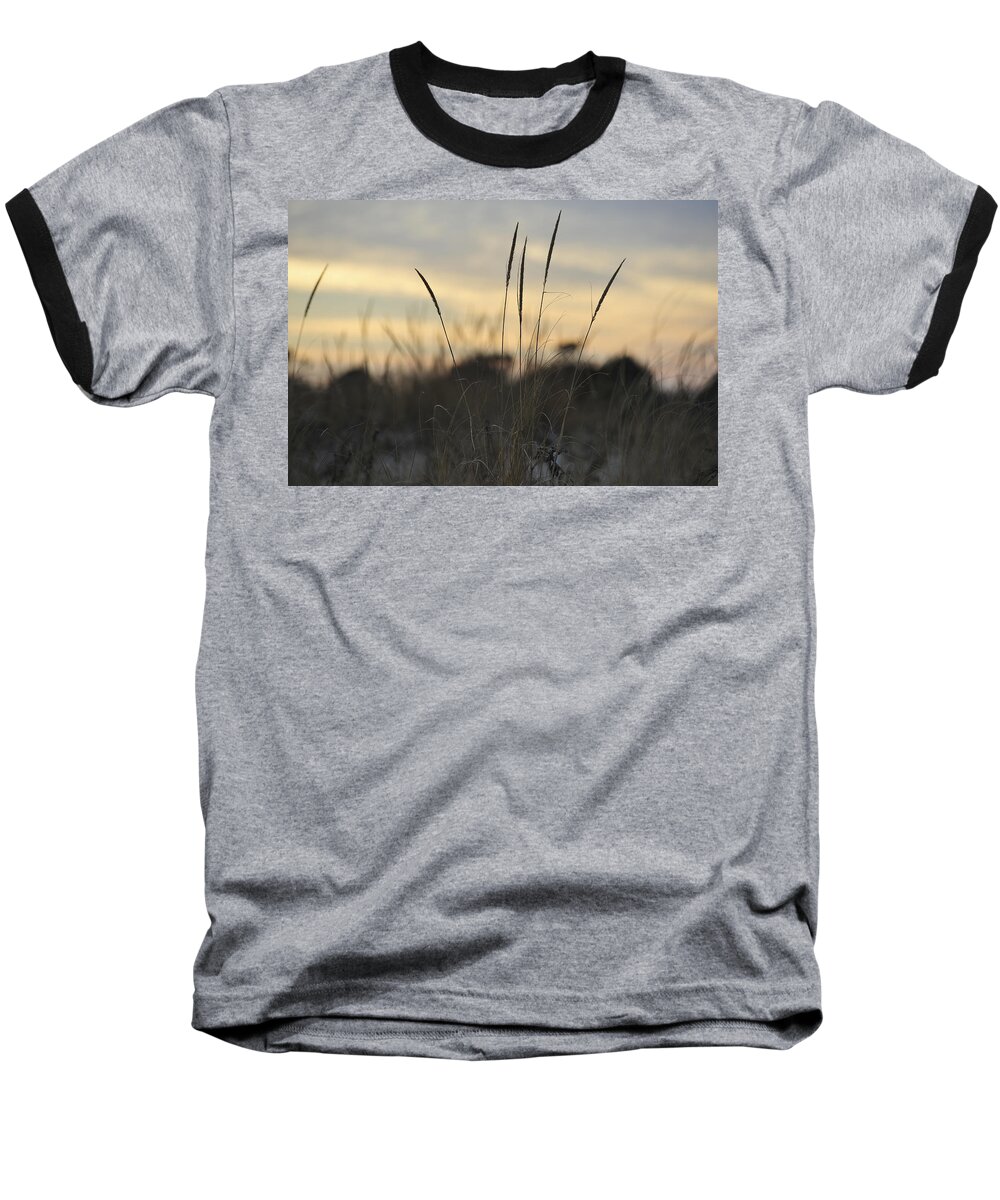 Dune Grass Baseball T-Shirt featuring the photograph Dune Grass by Terry DeLuco