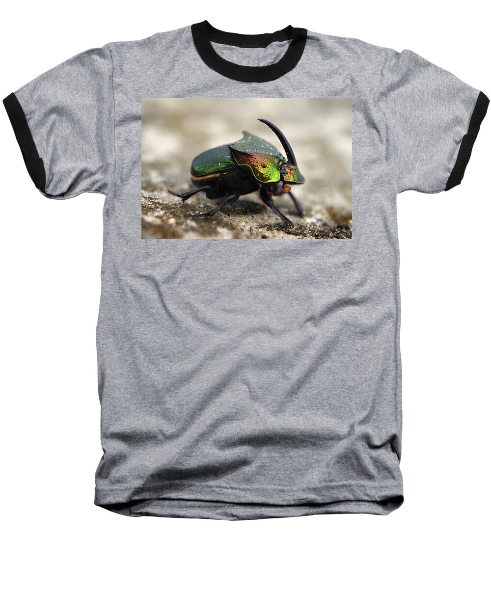 Beautiful Baseball T-Shirt featuring the photograph Dung Beetle by Roger Snyder