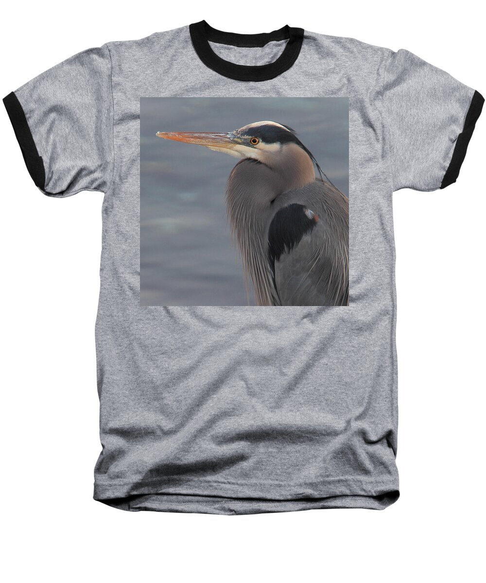 Bird Baseball T-Shirt featuring the photograph Early Bird 2 by Randy Hall